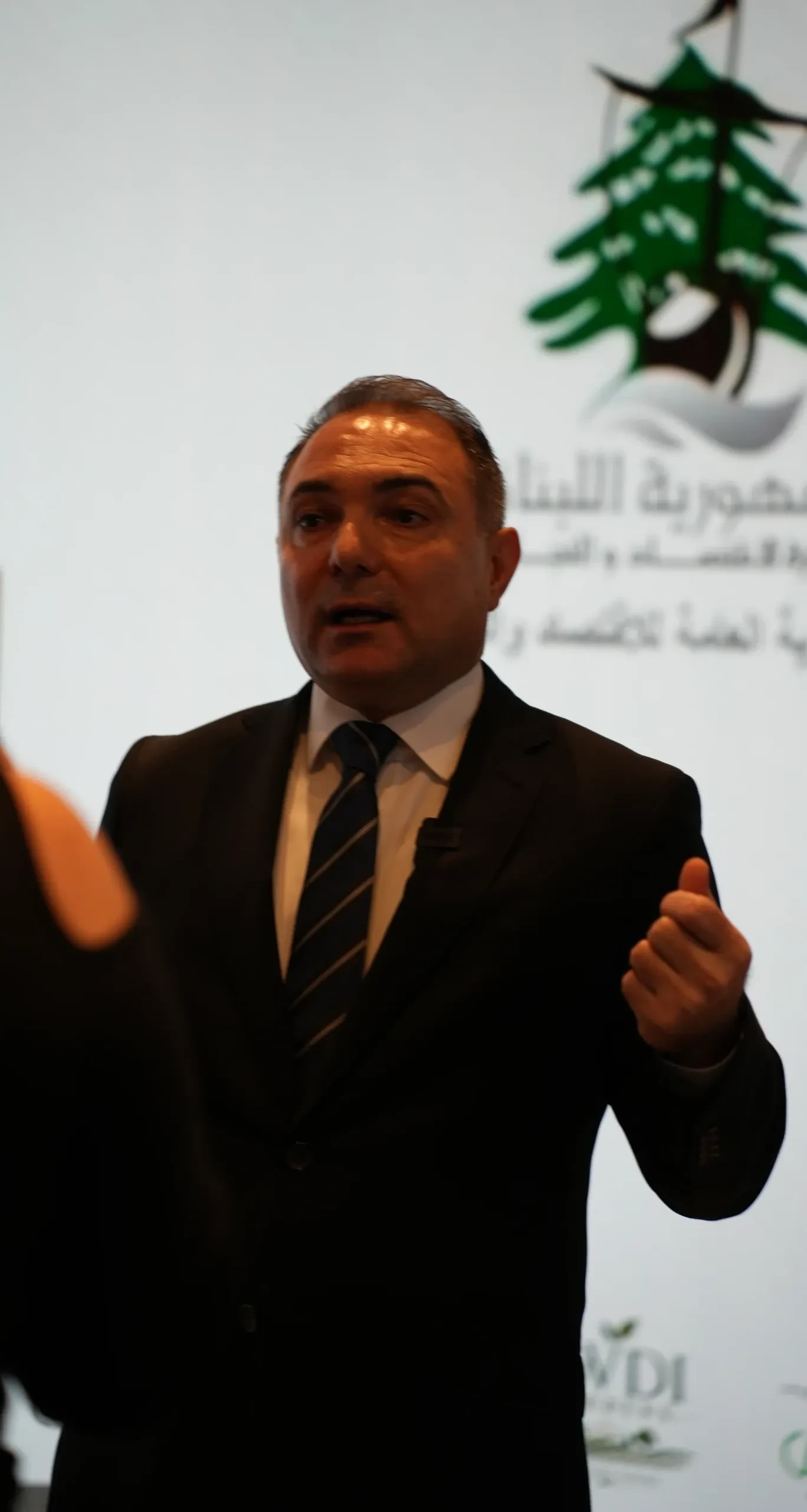 Lebanese–Russian Economic Investment Forum “Beirut 2” – Day 1